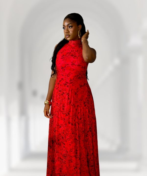 Laurens and Co Strawberry Mesh Maxi Dress